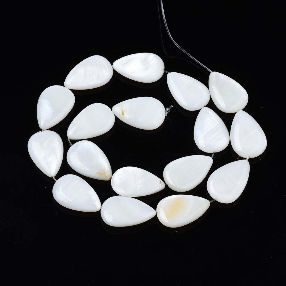 Trochus Shell Beads, White, Round, 4x3mm