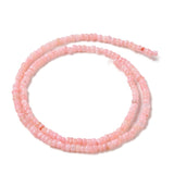 Shell Beads, Pastel Mix, 8mm