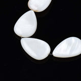 Trochus Shell Beads, White, Round, 4x3mm