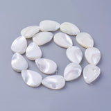 Trochus Shell Beads, White, Round, 4x3mm