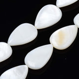 Trochus Shell Beads, White, Round, 4x3mm