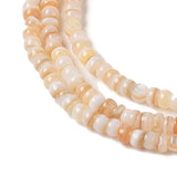 Shell Beads, Pastel Mix, 8mm