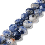 Jasper Blue spot Jasper, flad, rund, facetteret str. 10x5 mm