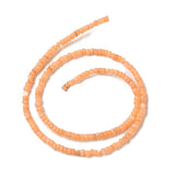 Shell Perler Shell Perler, Orange, Rondel ,3x2mm