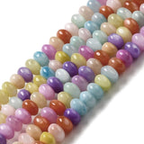 Shell Perler Shell Perler, rondel facon, farve mix, str. 5x3 mm